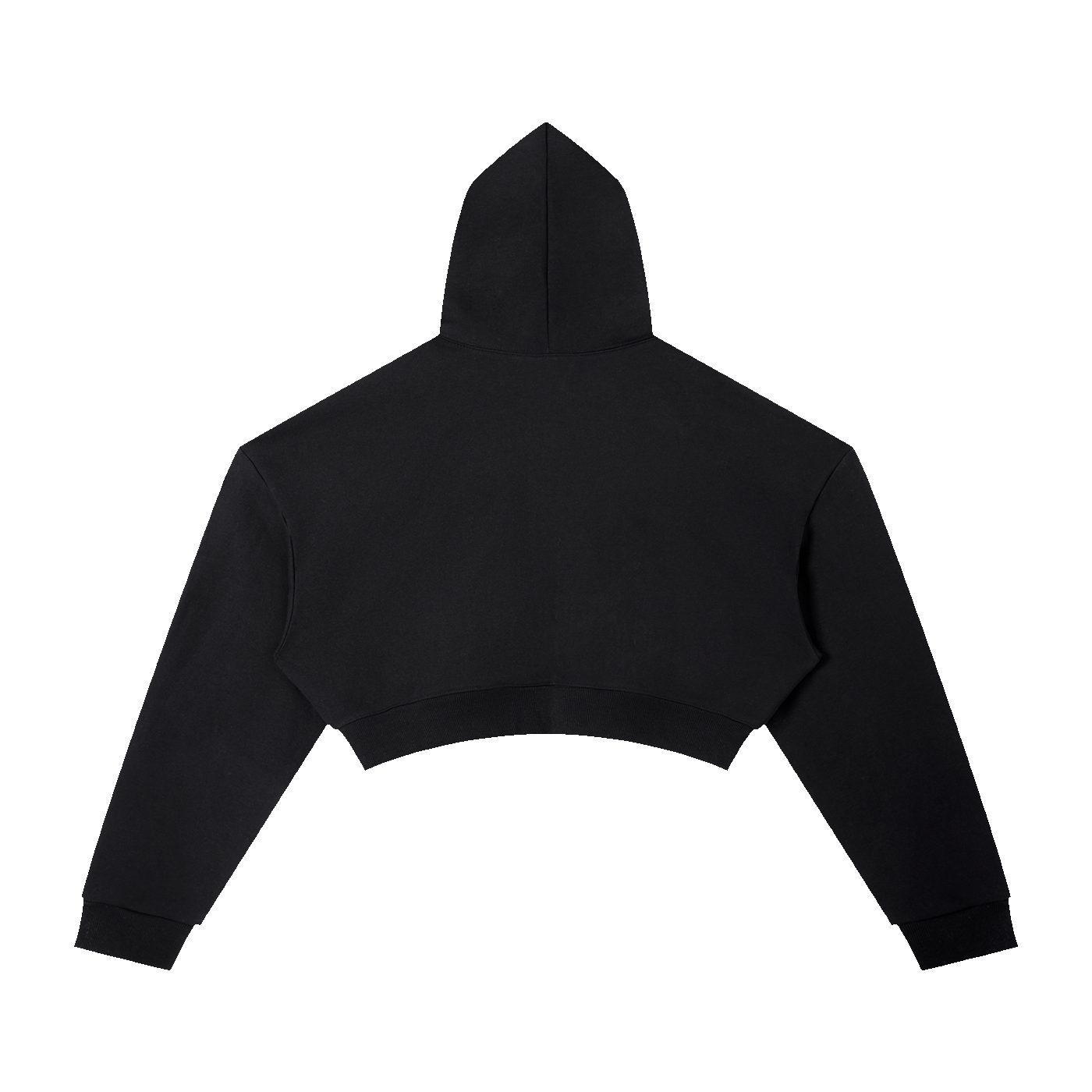 Essential Cropped Hoodie back