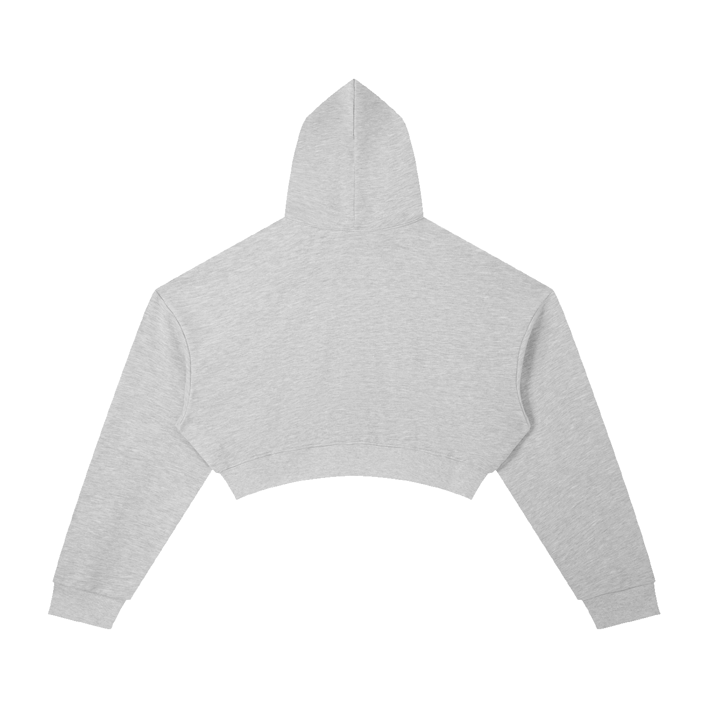 Essential Cropped Hoodie back