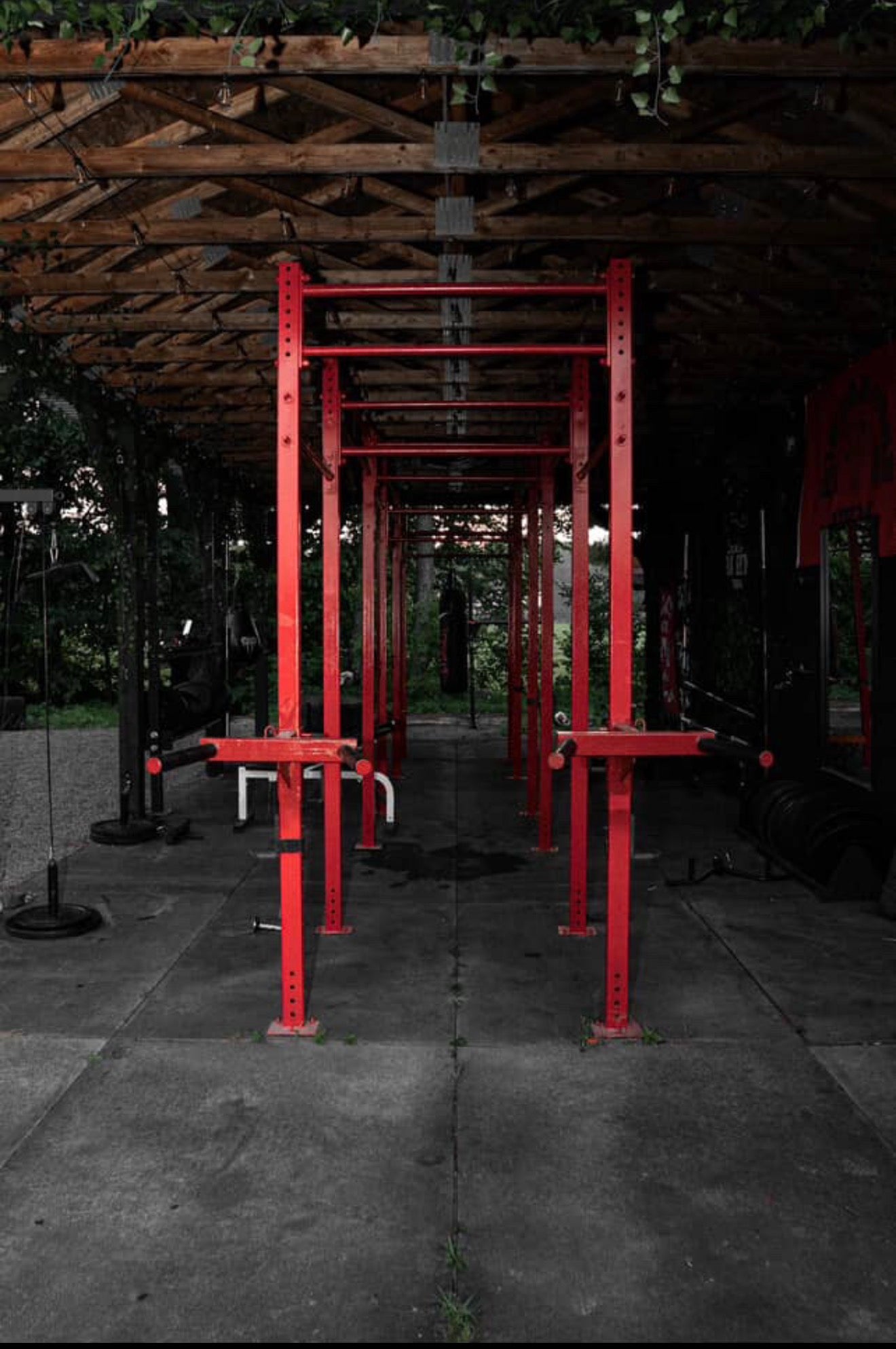MSS Gym red training rig